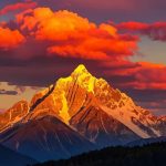 狗子的头像-all in社区